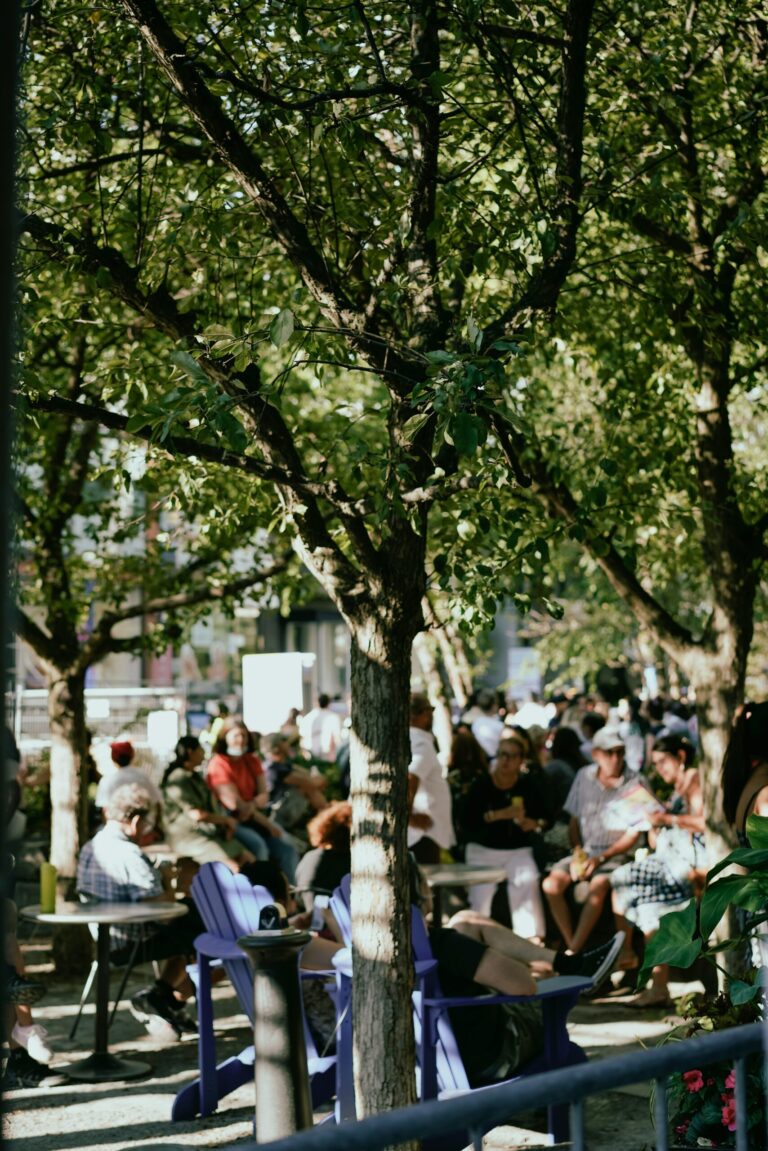 Für jeden gefällten Baum im Stadtgebiet muss es adäquaten Ersatz geben